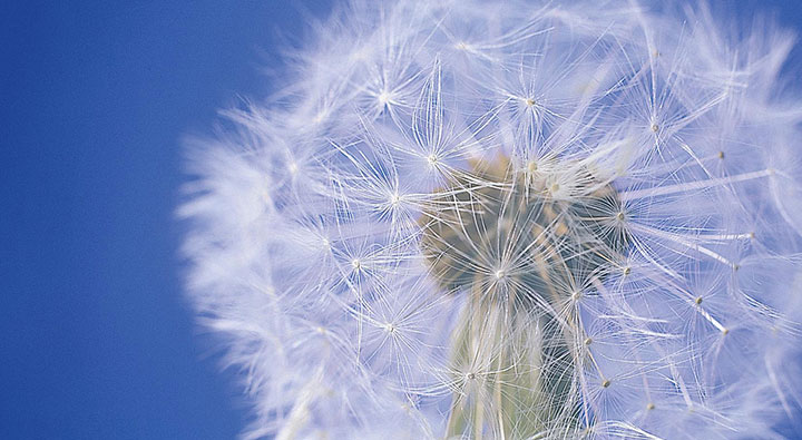 Easy Weight Kreuzlingen